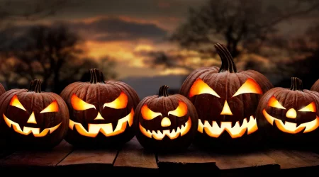 мастер шеф 14 выпуск 11 выпуск 1 часть